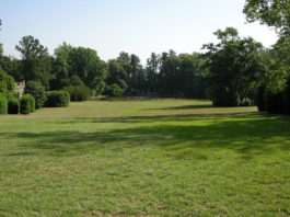 Cure per un prato perfetto 1121 0 Cure per un prato perfetto.JPG